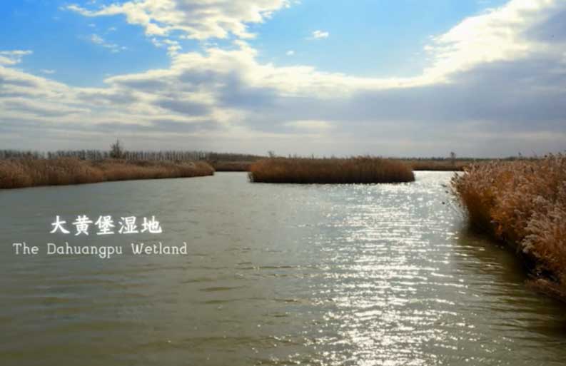 天津是一座生态宜居之城